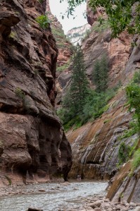 A group explores the Narrows at Zion NP.