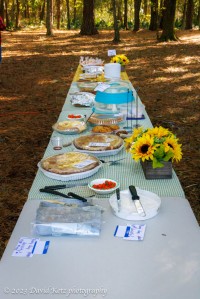 A long buffet table, outdoors, with numerous pies and sweets.